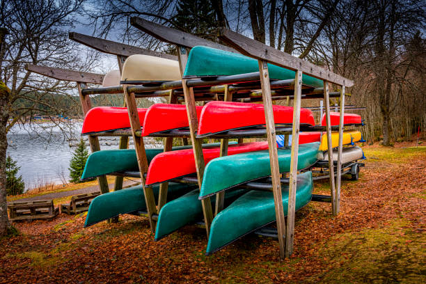 some canoes in the forest