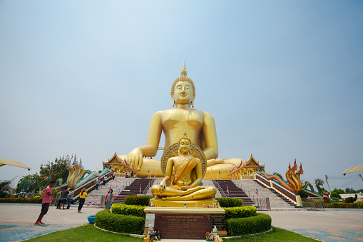 Panorama with small and giant golden thai buddha statues of Wat Muang in Ang Thong with national landmark 96m high Buddha statue of Thailand  in public free ground outside of city. Some thai people are walking around