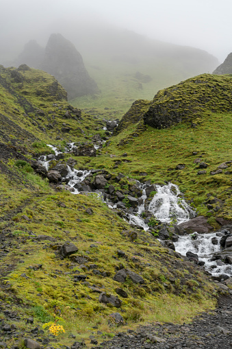 Landscape in fog - green moss with black rocks, grass and rapid, Iceland.