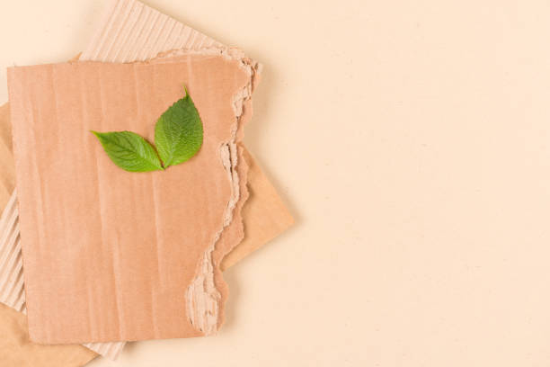 istock Corrugated cardboard texture as eco background for ecological project or paper packaging industry. Carton background with copy space for text and green leaves as a symbol of sustainable packaging 1408494437