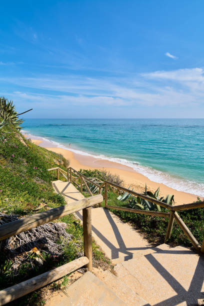 istock Beach with access to the sand from a wooden boardwalk 1408494779