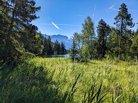 lac de champex. Beautiful mountain lake above Orsieres in Valais. idyllic landscape. Enjoy the silence of nature.