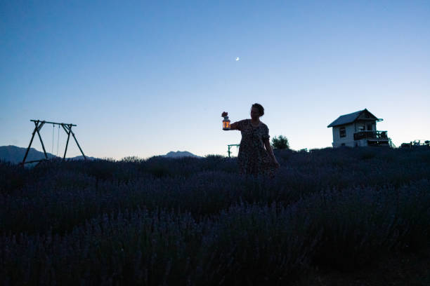 Free Stock Photo of Woman Holding Lantern in Field | Download Free ...