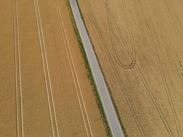 View from above of a rural road between ripe golden colored wheatfields on a sunny day in july