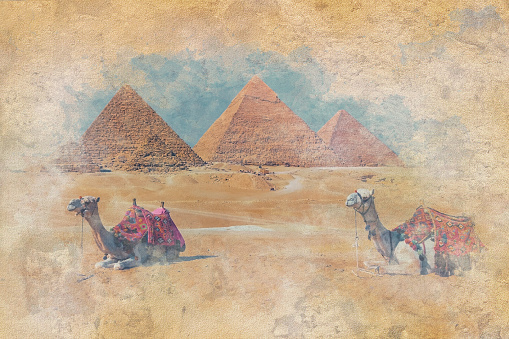 Giza Necropolis: Bedouin men dressed in traditional clothes, ride camels decorated with specific embroidery, in front of the Giza Necropolis pyramids complex.