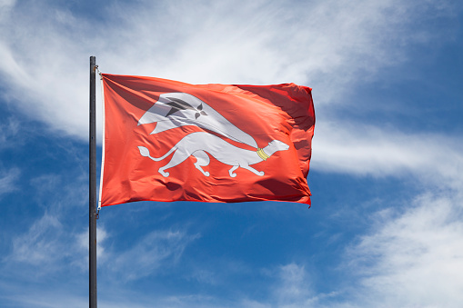 Flag of the city of Vannes waving un mid air.