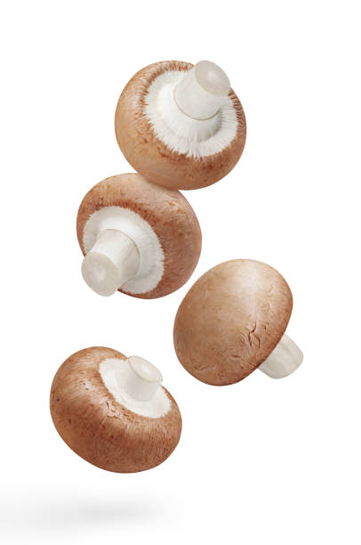 istock Flying delicious mushrooms on white 1408512528