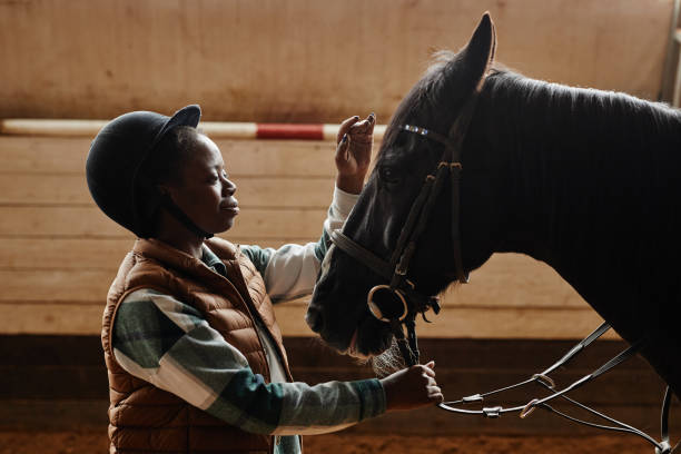 istock Young Woman Caring for Horses 1408512792