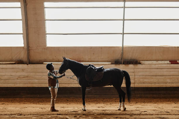 istock Rider in Horse Training Arena 1408512798