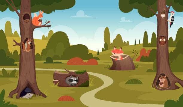ilustraciones, imágenes clip art, dibujos animados e iconos de stock de animales salvajes del bosque. grandes árboles huecos para el tiempo de relax exacto vector de fondo de dibujos animados - hollow