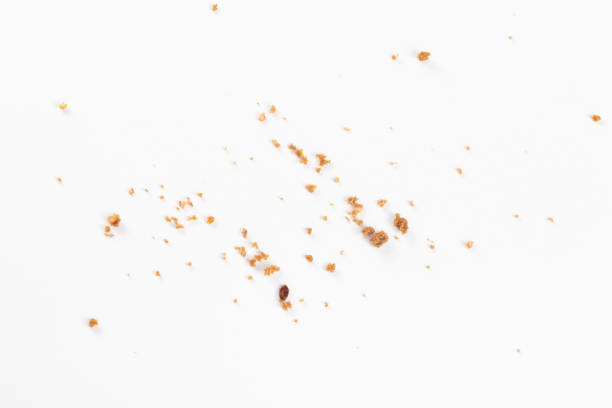 istock Scattered crumbs isolated on white background 1408518270