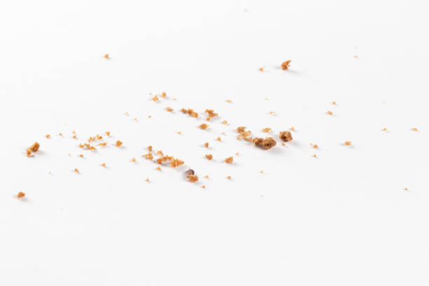 istock Scattered crumbs isolated on white background, bokeh 1408518277