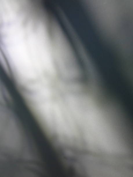 istock Silver Gray Abstract Textured Defocused Blurred Swirl Pattern Curve Background 1408519216