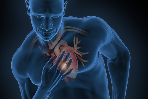A transparent view of the human heart on a healthy, athletic man. The man's hand is touching his heart.