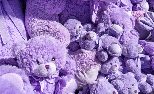 many lavender color cuddly bear