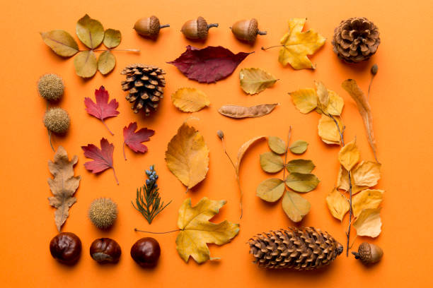 istock Autumn composition. Pattern made of dried leaves and other design accessories on table. Flat lay, top view 1408528428
