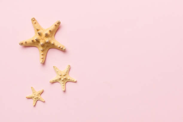istock Summer time concept Flat lay composition with beautiful starfish and sea shells on colored table, top view with copy space for text 1408528438