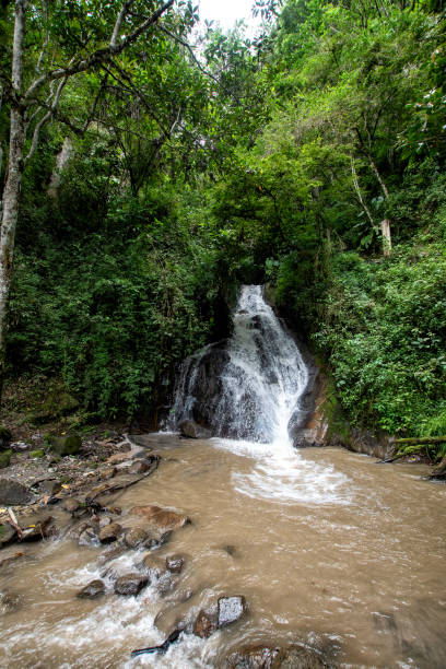 istock Waterfall on rock among green foliage 1408531146