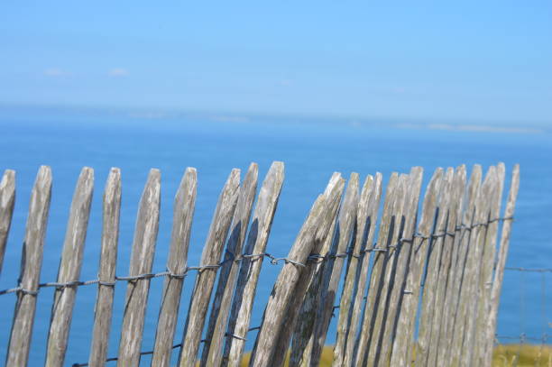 Wooden barrier and ganivelles on the cliffs by the sea. stock photo