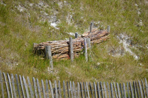 Wooden barrier and ganivelles on the cliffs by the sea. stock photo