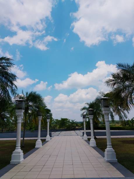 istock clear clouds during the day with some date palms and lights 1408532066