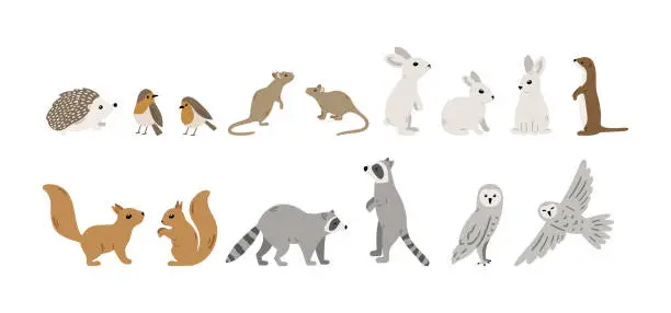 Vector illustration of Forest animals collection with hedgehog, bird, mouse, rabbit, squirrel, raccoon, owl and weasel