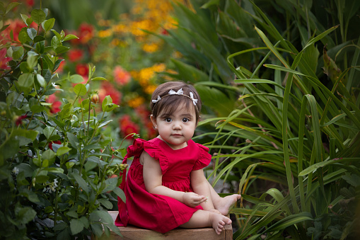 Cute latin american one year-old girl smiling at camera surrounded by flowers - Buenos Aires - Argentina