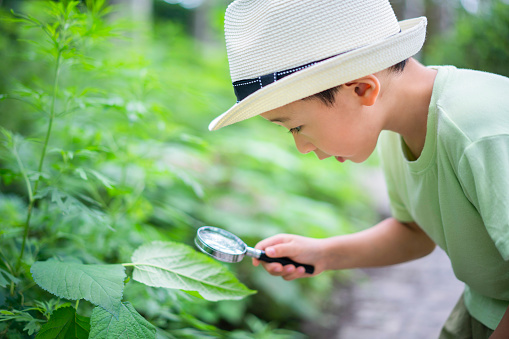 Baby holding magnifying glass to observe leaves