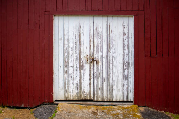istock white double doors distressed and pealing on a red grungy barn 1408547421