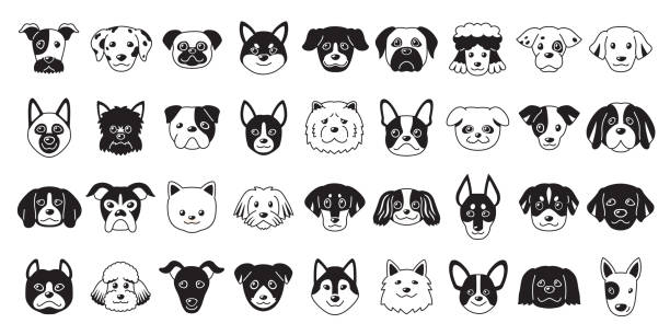 verschiedene arten von vektor-cartoon-hunde-gesichter - purebred dog stock-grafiken, -clipart, -cartoons und -symbole