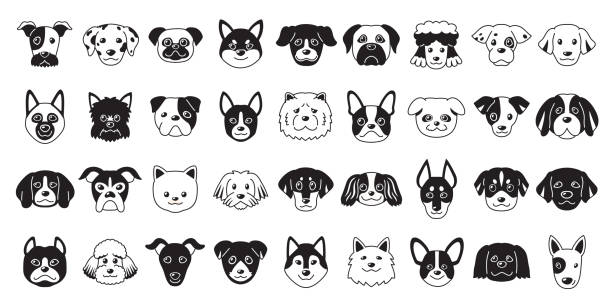 다른 유형의 벡터 만화 개 얼굴 - purebred dog illustrations stock illustrations