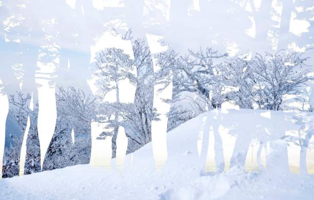 istock Pine forest over white snowy hills. 1408551577