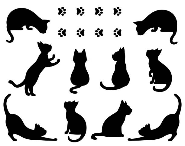 ilustraciones, imágenes clip art, dibujos animados e iconos de stock de ilustración vectorial de silueta de pose de gato - pets feline domestic cat horizontal