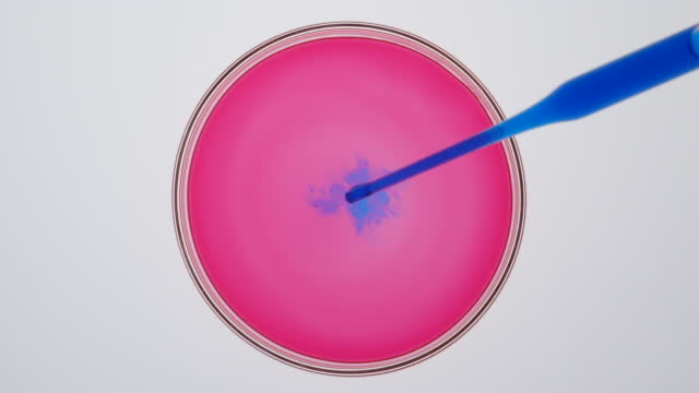 Blue liquid dropping into petri dish