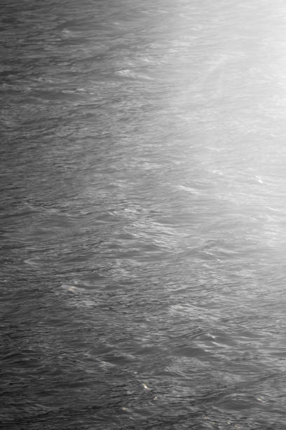 Light and shadow background that reflects the natural water surface.