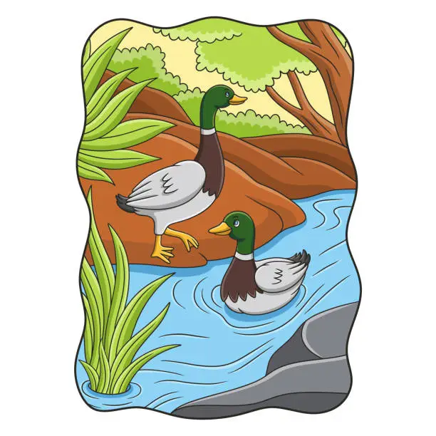 Vector illustration of cartoon illustration the duck is walking by the river and swimming in the river