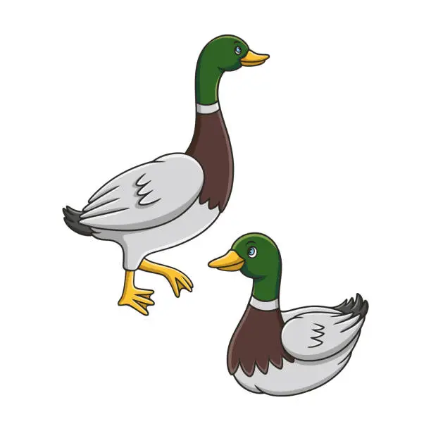 Vector illustration of cartoon illustration the duck is walking by the river and swimming in the river