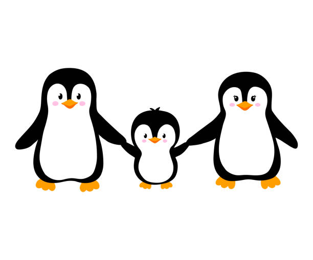 ilustraciones, imágenes clip art, dibujos animados e iconos de stock de ilustración vectorial de linda familia de pingüinos aislados sobre blanco. clipart animales en estilo plano. pingüinos tomados de la mano - pingüino