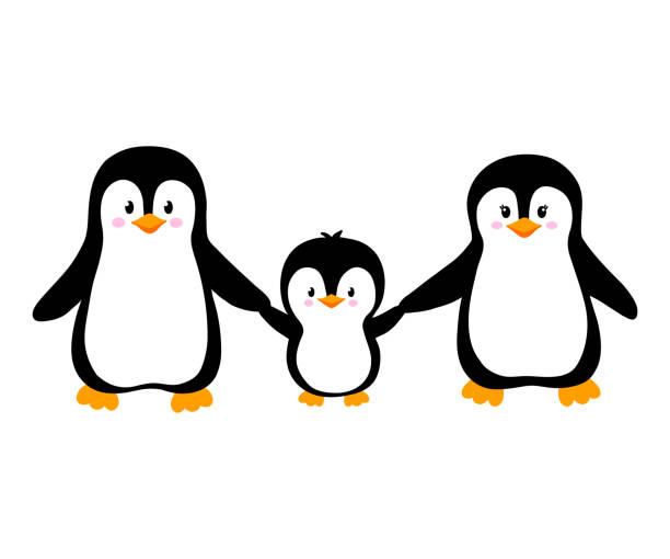 Vector illustration of cute penguin family isolated on white. Animals clipart in flat style. Penguins holding hands Vector illustration of cute penguin family isolated on white. Animals clipart in flat style. Penguins holding hands penguin stock illustrations