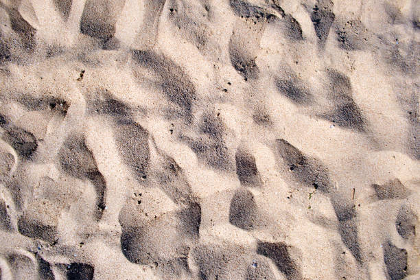 istock Flat view of clean yellow sand surface covering seaside beach. Sandy texture 1408564709