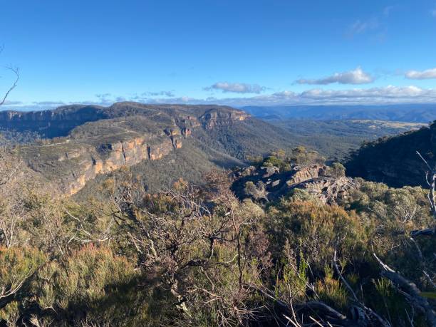 istock Narrow Neck plateau 1408567230
