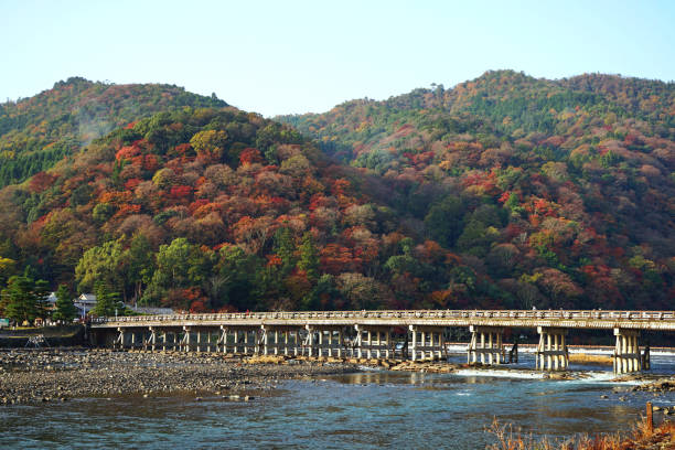 ponte togetsukyo e belas folhas coloridas na temporada de outono em arashiyama, kyoto, japão. - togetsu kyo bridge - fotografias e filmes do acervo