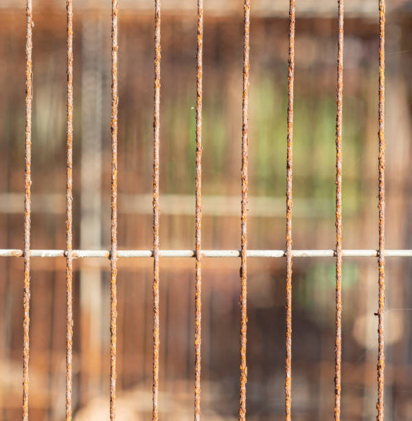istock The texture and pattern of the old iron wire cage. 1408570945