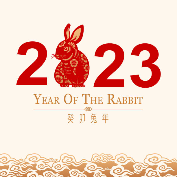 2023 Year of the Rabbit Greetings Greeting for the Chinese New Year of the Rabbit 2023 with paper art rabbit on gold colored cloud background, the Chinese phrase means Year of the Rabbit according to lunar calendar system year of the rabbit stock illustrations