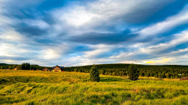 Flowering mountain meadows with cottages in the hamlet Jizerka, Jizera Mountains, Czech Republic