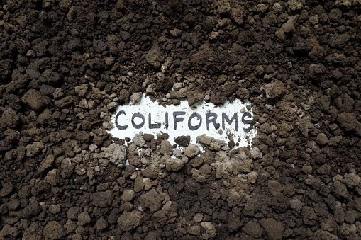 Coliform concept. Written word on a piece of paper on soil.
