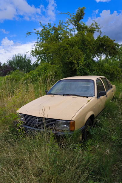 istock abandoned old car in high weeds 1408573552