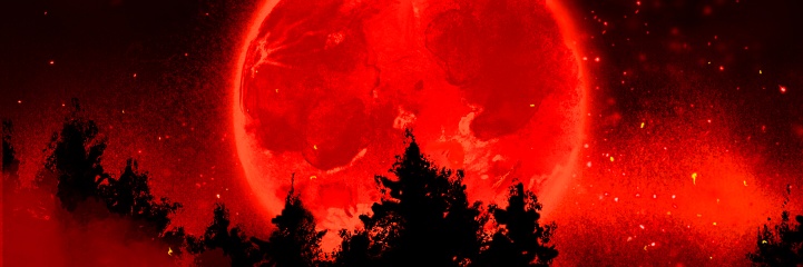 Illustration of beautiful red night sky scape and mysterious moon beyond silhouette of forest