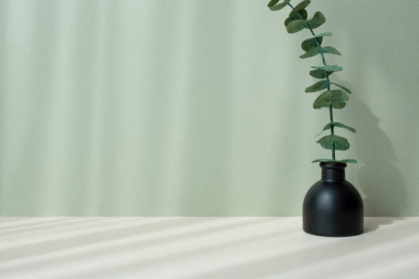 istock a platform for product photography 1408578026