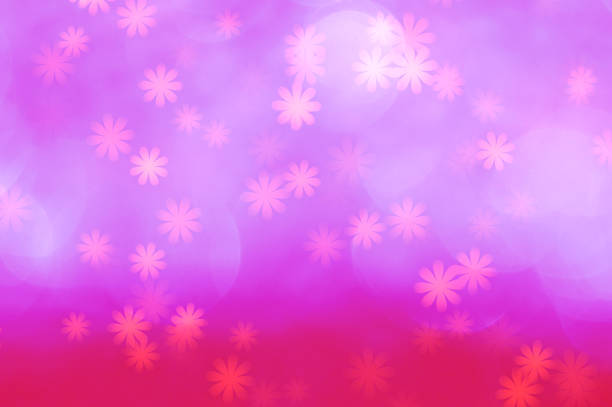 Cherry blossoms